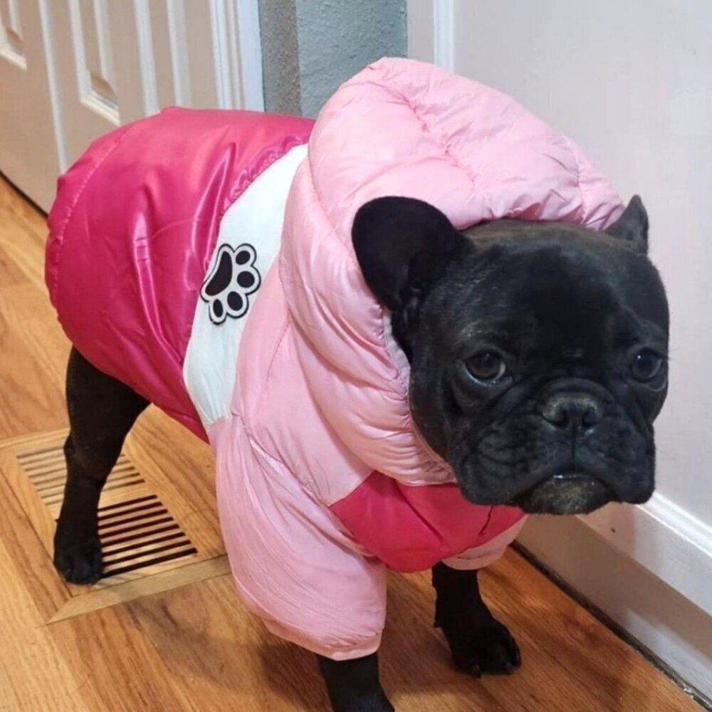Dog Winter Coat Waterproof Warm Cold Weather Jacket Stylish Puppy Vest - Picture 2 of 2